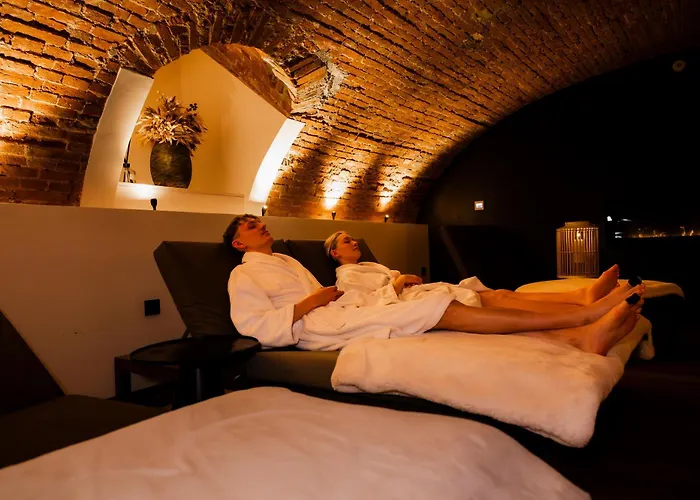 L' Hôtel&Spa Ribeauville-Colmar Nord